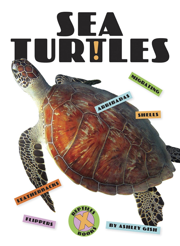 X-Books Series Hardcover X-Books: Reptiles: Sea Turtles