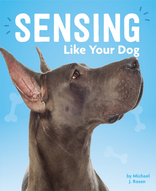 A Dog's Life Series Hardcover A Dog's Life: Sensing Like Your Dog