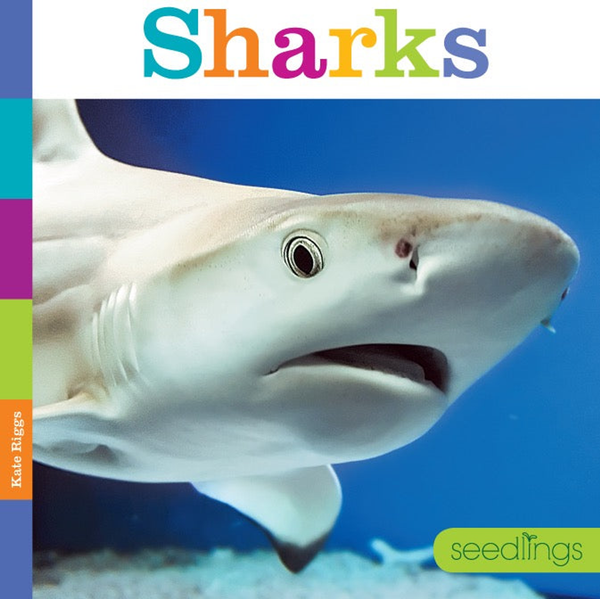 Seedlings Series Hardcover Seedlings: Sharks