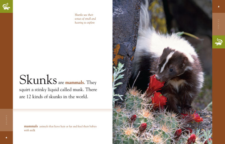 Amazing Animals - Classic Edition Series Paperback Amazing Animals - Classic Edition: Skunks - 2