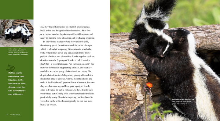 Living Wild Series Hardcover Living Wild: Skunks - 2