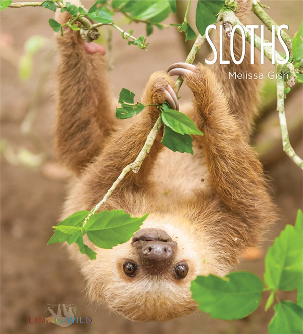 Living Wild Series Hardcover Living Wild: Sloths