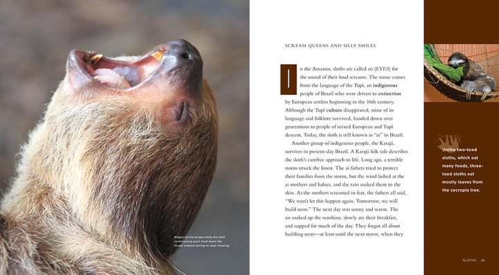 Living Wild Series Hardcover Living Wild: Sloths - 2