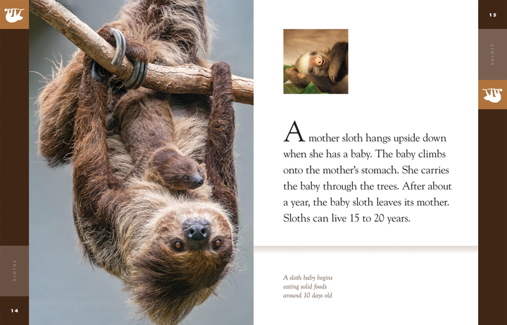 Amazing Animals - Classic Edition Series Hardcover Amazing Animals - Classic Edition: Sloths - 2