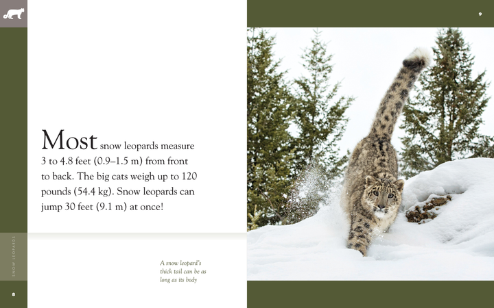 Amazing Animals - Classic Edition Series Paperback Amazing Animals - Classic Edition: Snow Leopards - 2