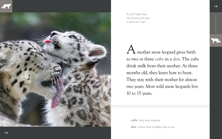 Amazing Animals - Classic Edition Series Paperback Amazing Animals - Classic Edition: Snow Leopards - 3