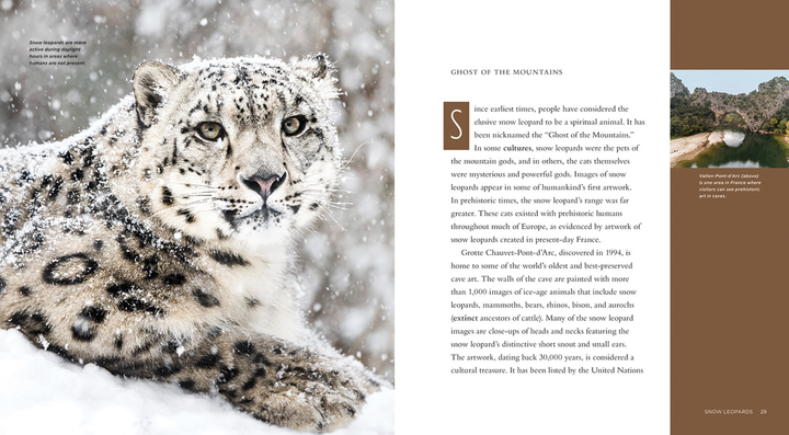 Living Wild Series Hardcover Living Wild: Snow Leopards - 2