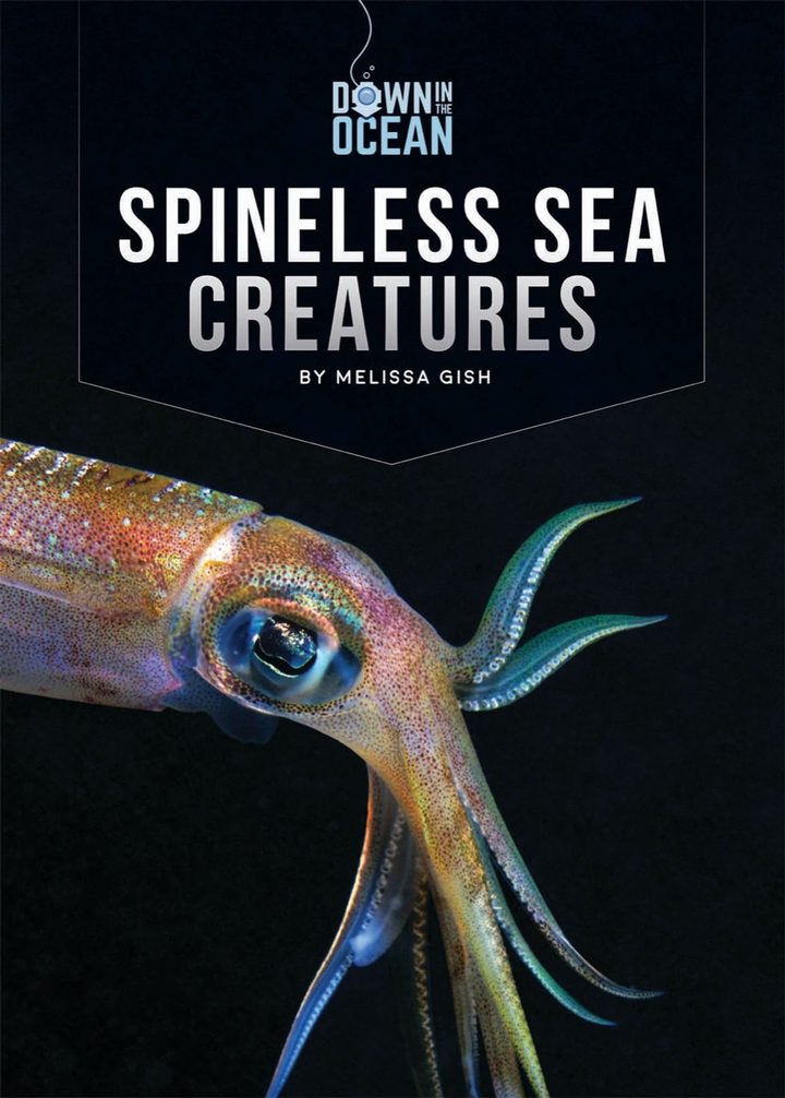 Down in the Ocean Series Paperback Down in the Ocean: Spineless Sea Creatures