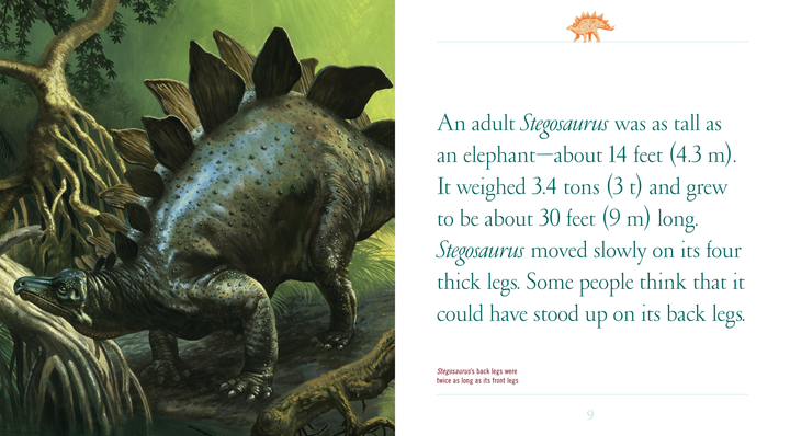 When Dinosaurs Lived Series Hardcover When Dinosaurs Lived: Stegosaurus - 2