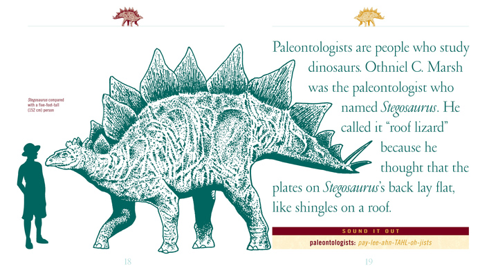 When Dinosaurs Lived Series Hardcover When Dinosaurs Lived: Stegosaurus - 3