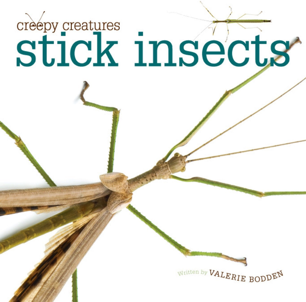 Creepy Creatures Series Hardcover Creepy Creatures: Stick Insects