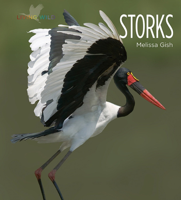 Living Wild Series Hardcover Living Wild: Storks