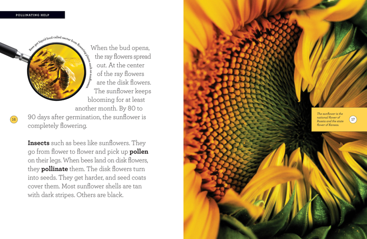 Grow with Me Series Hardcover Grow with Me: Sunflower - 2