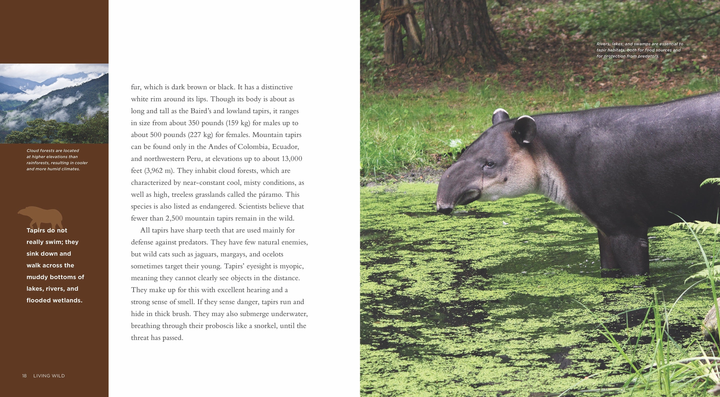 Living Wild Series Hardcover Living Wild: Tapirs - 5