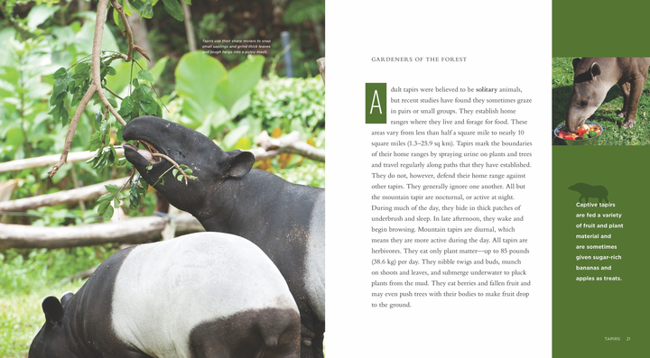 Living Wild Series Paperback Living Wild: Tapirs - 3