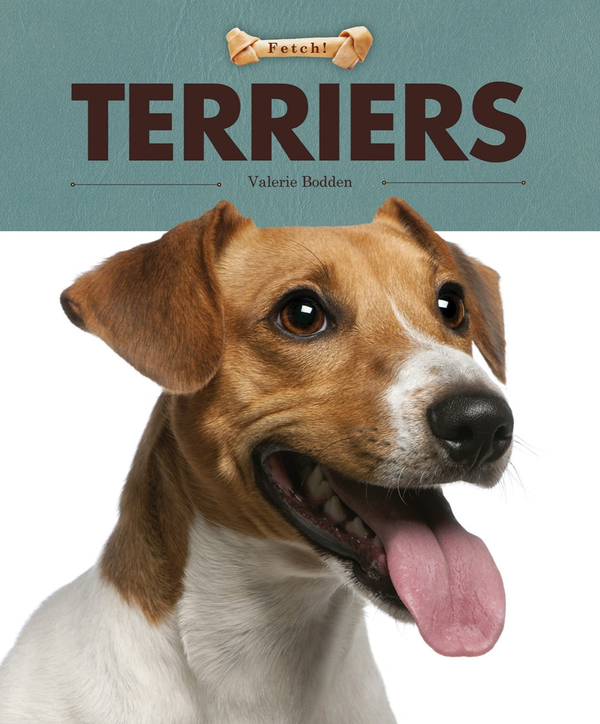 Fetch! Series Hardcover Fetch!: Terriers