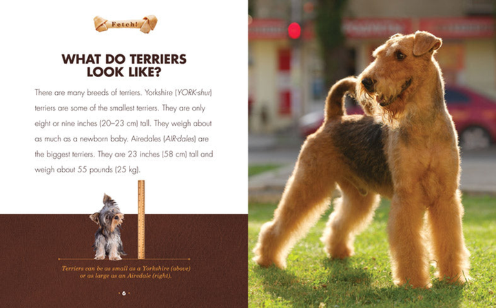 Fetch! Series Hardcover Fetch!: Terriers - 3