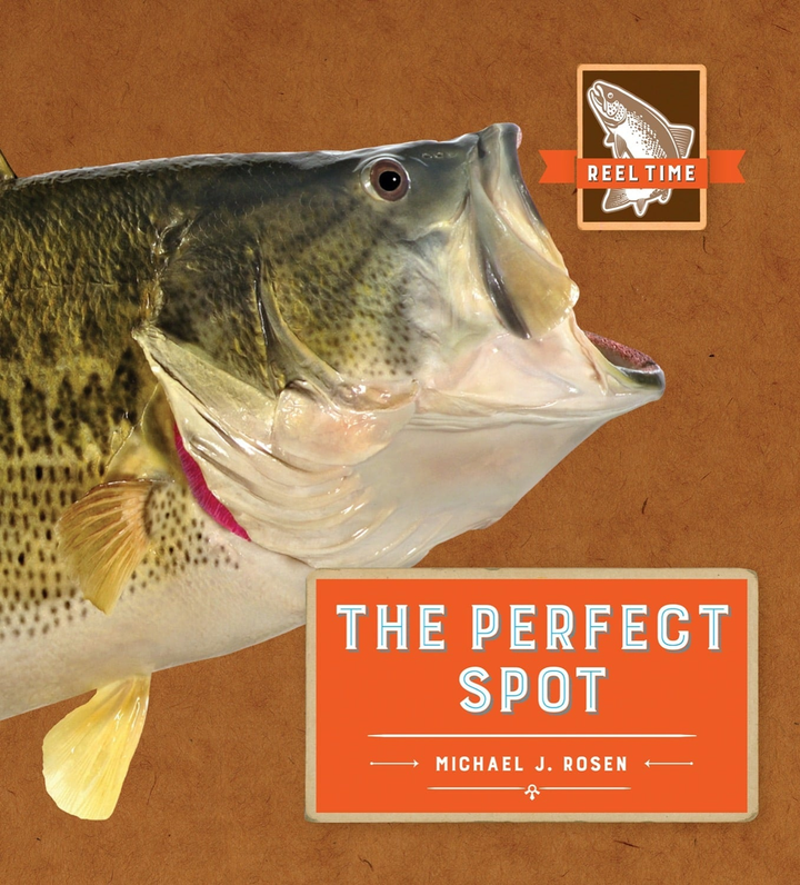 The Reel Time Series Hardcover The Reel Time: Perfect Spot