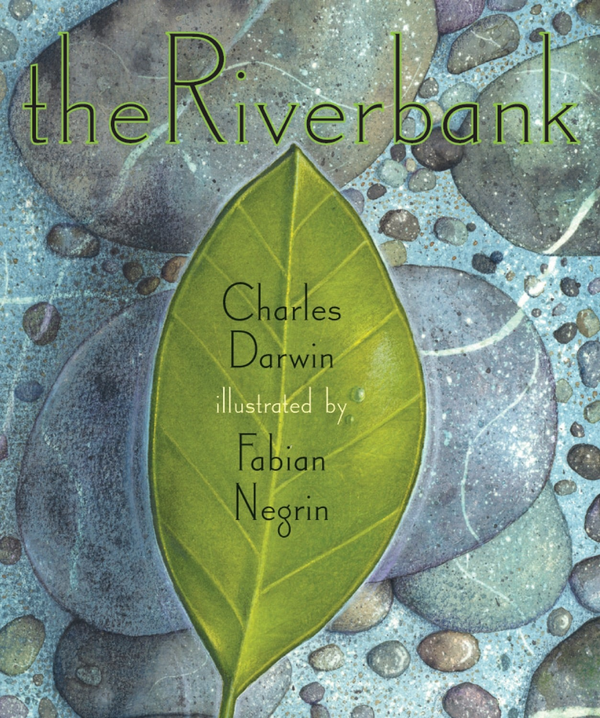 The Riverbank