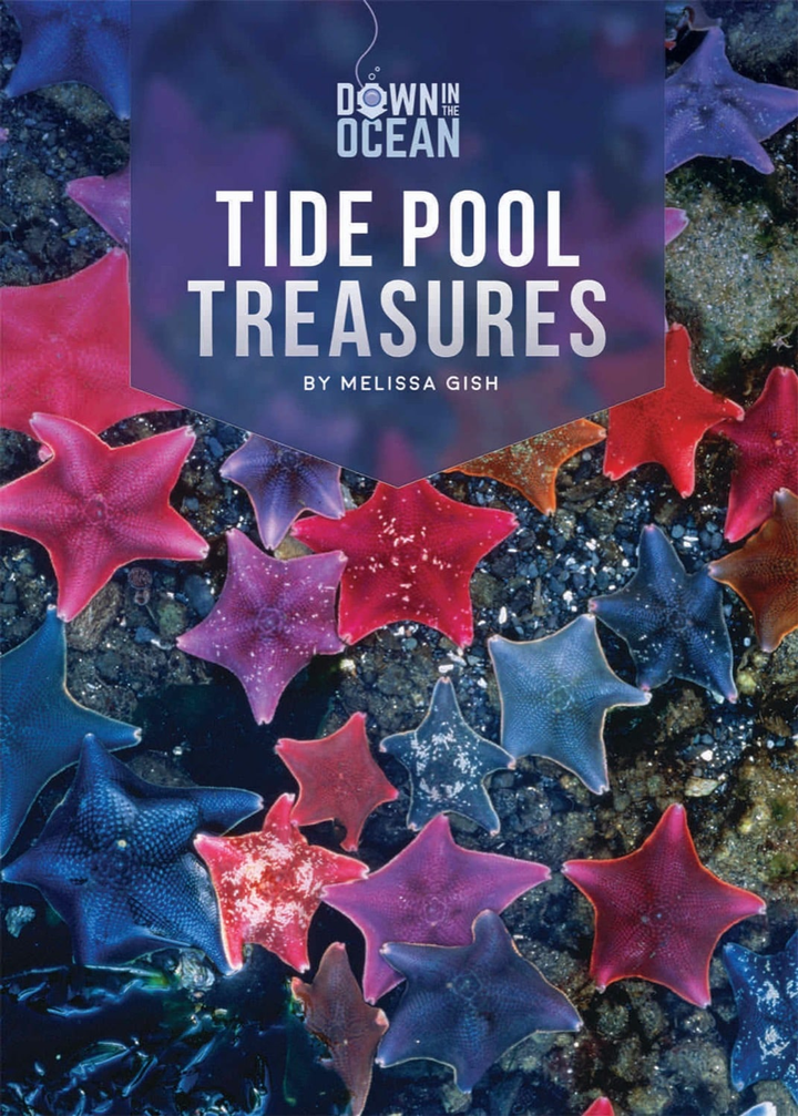 Down in the Ocean Series Hardcover Down in the Ocean: Tide Pool Treasures