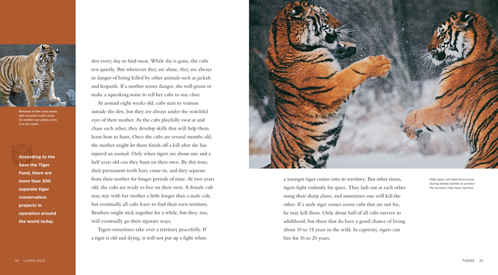 Living Wild Series Hardcover Living Wild: Tigers - 2