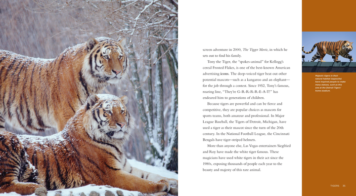 Living Wild Series Hardcover Living Wild: Tigers - 3