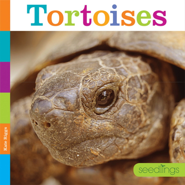 Seedlings Series Hardcover Seedlings: Tortoises