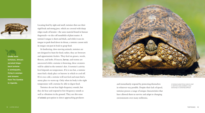 Living Wild Series Hardcover Living Wild: Tortoises - 3