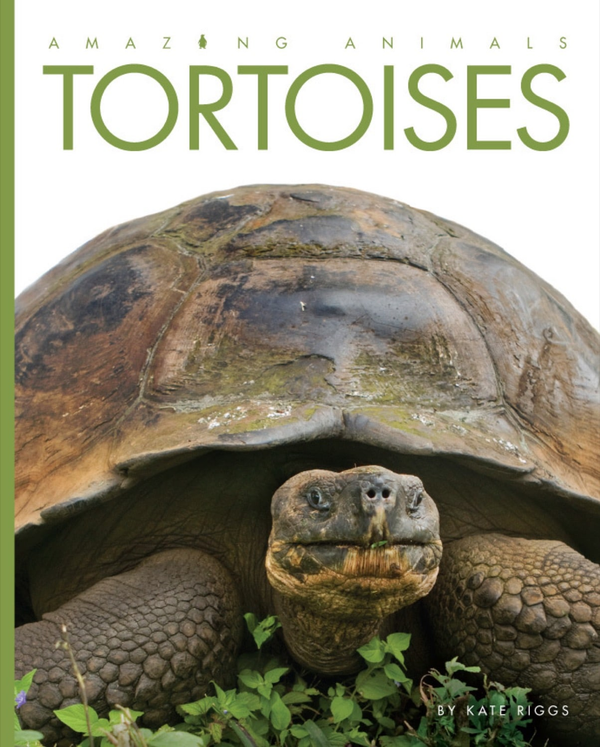 Amazing Animals - Classic Edition Series Hardcover Amazing Animals - Classic Edition: Tortoises