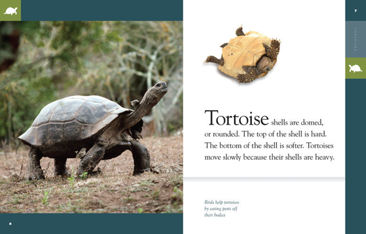 Amazing Animals - Classic Edition Series Hardcover Amazing Animals - Classic Edition: Tortoises - 3