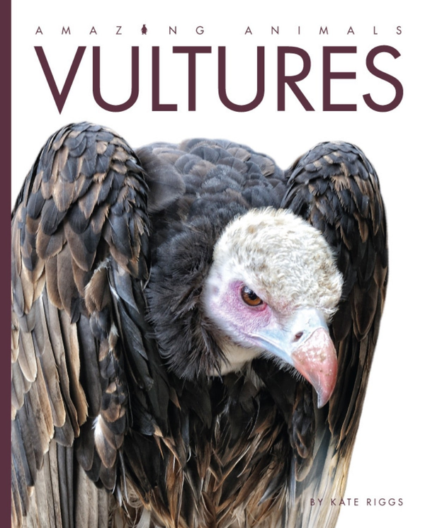 Amazing Animals - Classic Edition Series Hardcover Amazing Animals - Classic Edition: Vultures