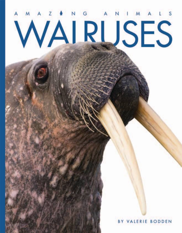 Amazing Animals - Classic Edition Series Hardcover Amazing Animals - Classic Edition: Walruses