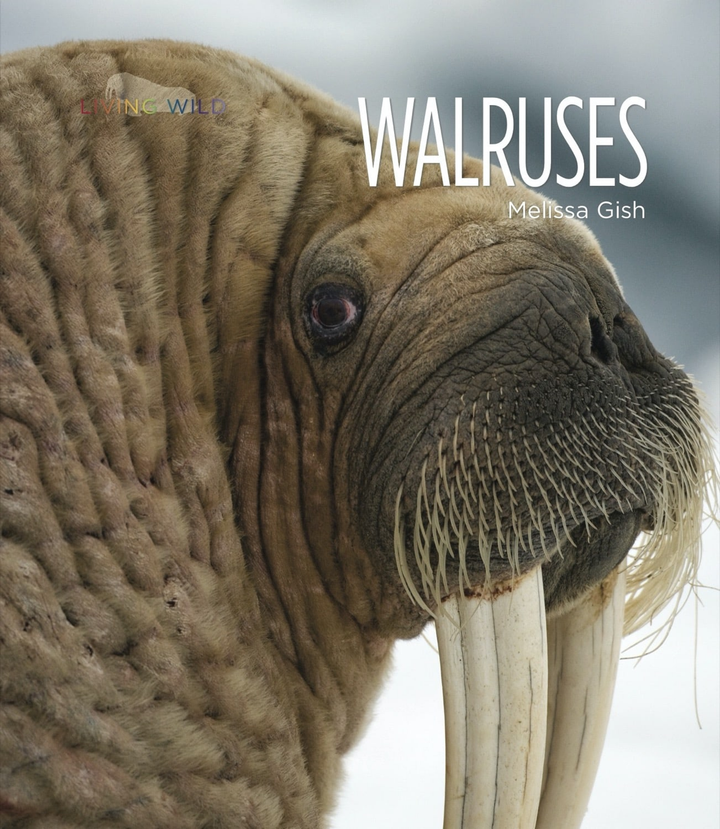 Living Wild Series Hardcover Living Wild: Walruses