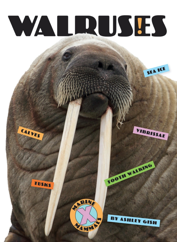 X-Books Series Hardcover X-Books: Marine Mammals: Walruses