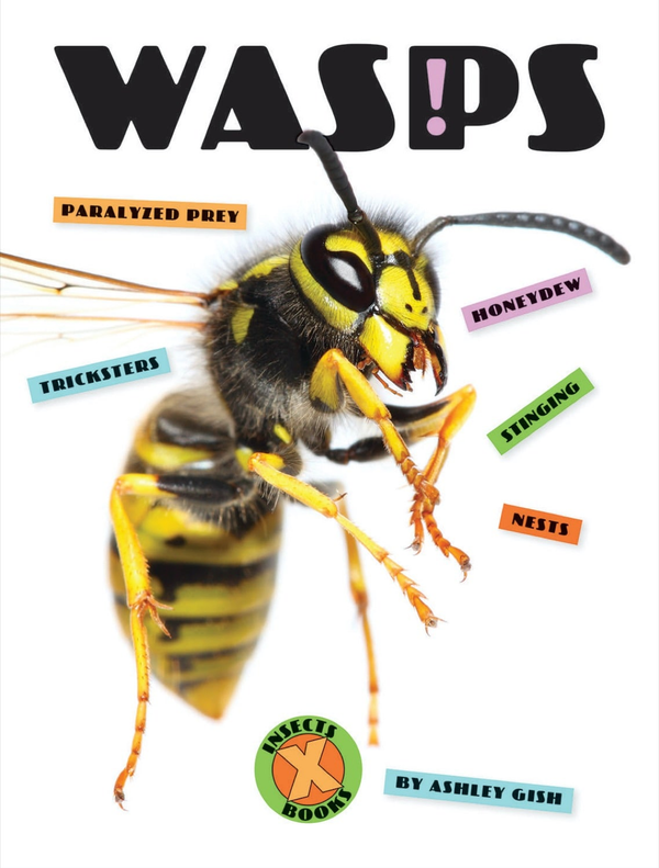 X-Books Series Hardcover X-Books: Insects: Wasps