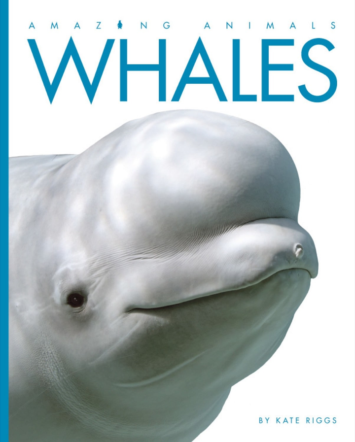 Amazing Animals - Classic Edition Series Hardcover Amazing Animals - Classic Edition: Whales