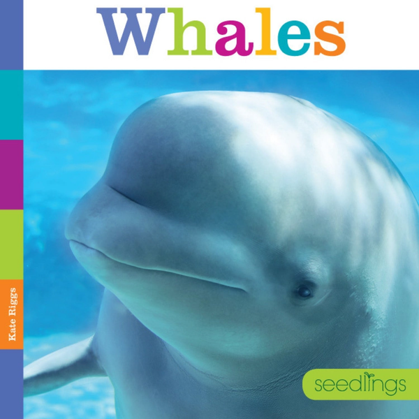 Seedlings Series Hardcover Seedlings: Whales