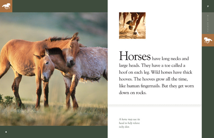 Amazing Animals - Classic Edition Series Paperback Amazing Animals - Classic Edition: Wild Horses - 3