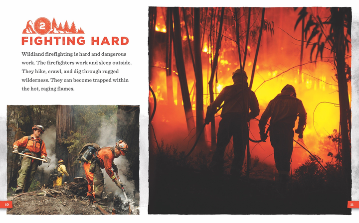 Wild Jobs Series Hardcover Wild Jobs: Wildland Firefighter - 3