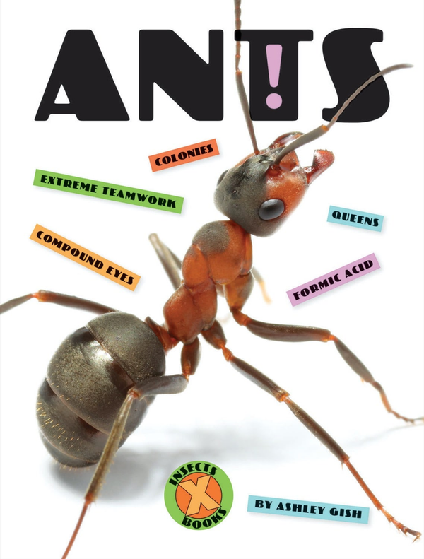 X-Books Series Paperback X-Books: Insects: Ants