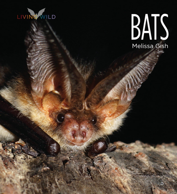 Living Wild Series Paperback Living Wild: Bats