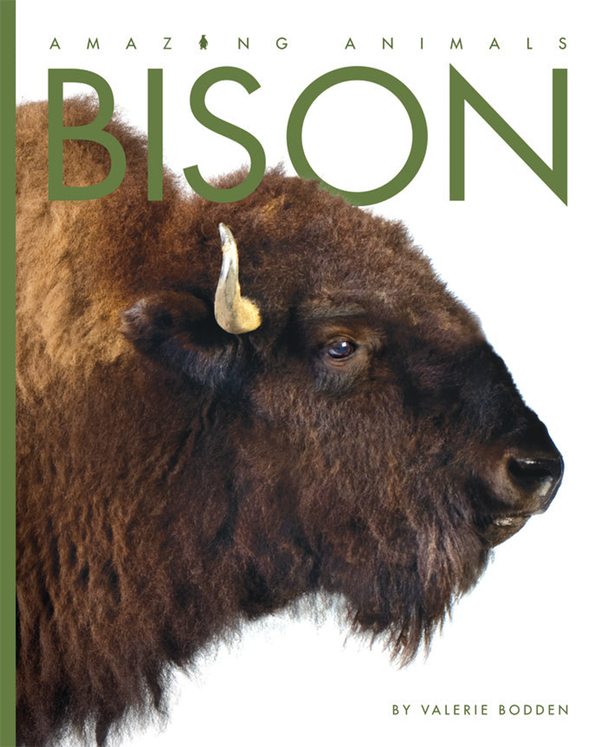 Amazing Animals - Classic Edition Series Paperback Amazing Animals - Classic Edition: Bison