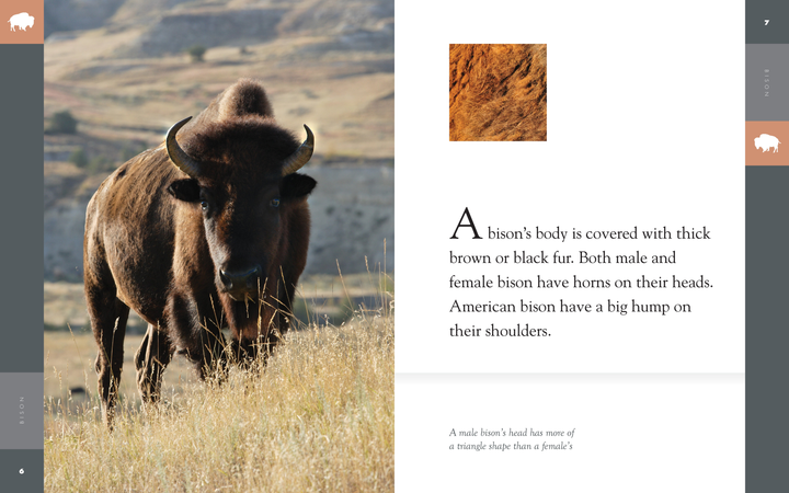 Amazing Animals - Classic Edition Series Paperback Amazing Animals - Classic Edition: Bison - 3