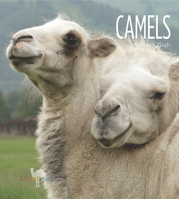 Living Wild Series Paperback Living Wild: Camels