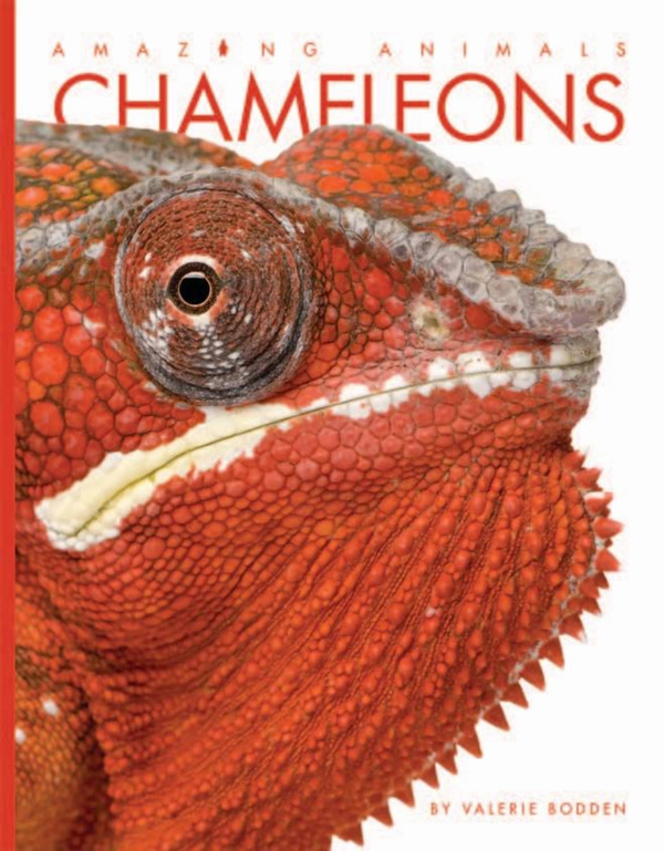 Amazing Animals - Classic Edition Series Paperback Amazing Animals - Classic Edition: Chameleons