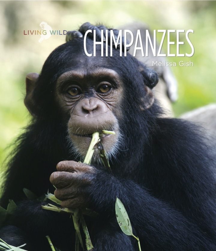 Living Wild Series Paperback Living Wild: Chimpanzees