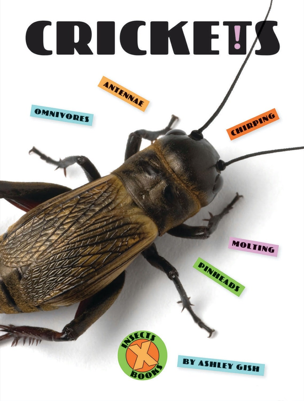 X-Books Series Paperback X-Books: Insects: Crickets