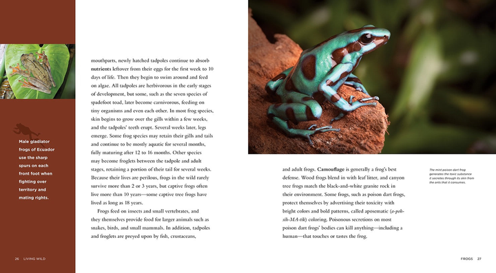 Living Wild Series Paperback Living Wild: Frogs - 3