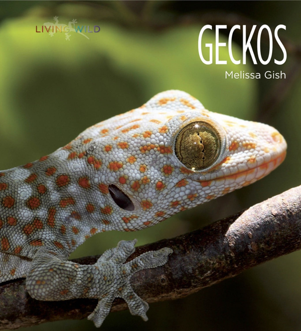 Living Wild Series Paperback Living Wild: Geckos