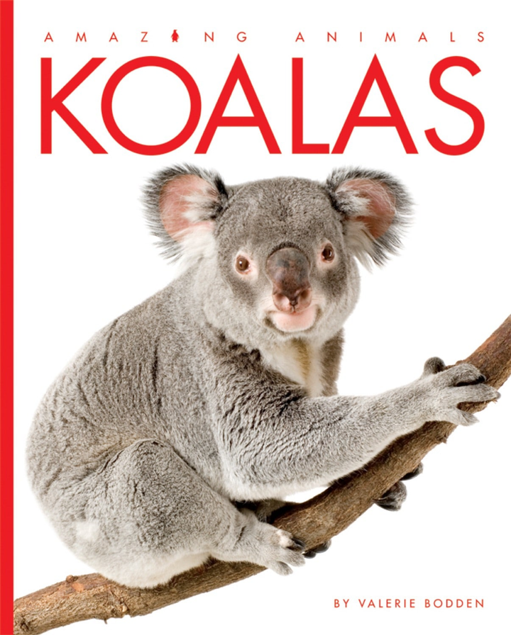 Amazing Animals - Classic Edition Series Paperback Amazing Animals - Classic Edition: Koalas